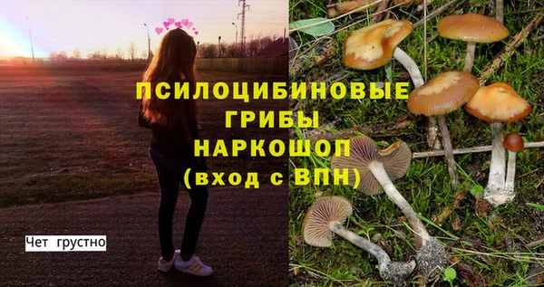 экстази Новокубанск