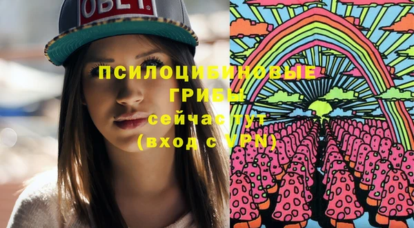 мдпв Нязепетровск